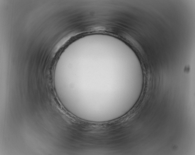 X0000112791023200908210933