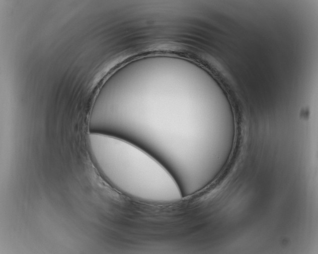 X0000112791025200908210933