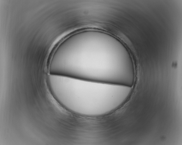 X0000112791028200908210933