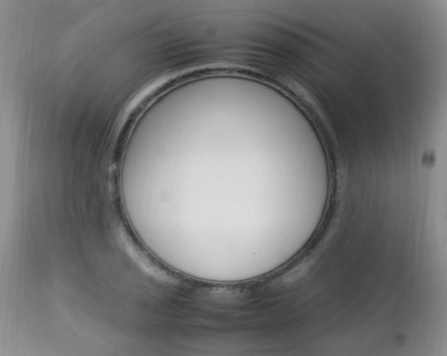 X0000112791029200908210933