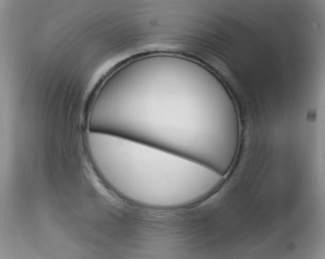 X0000112791030200908210933