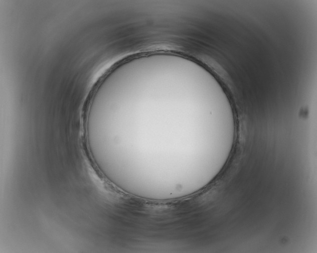 X0000112791031200908210933
