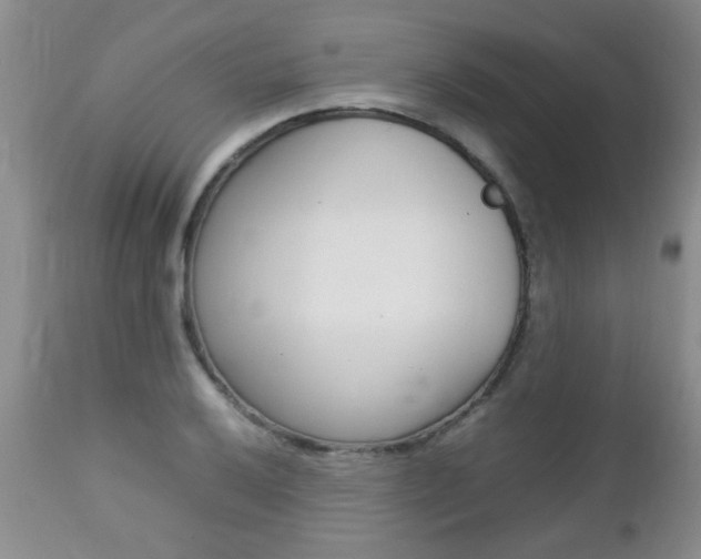 X0000112791032200908210933