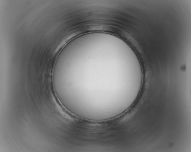 X0000112791033200908210933