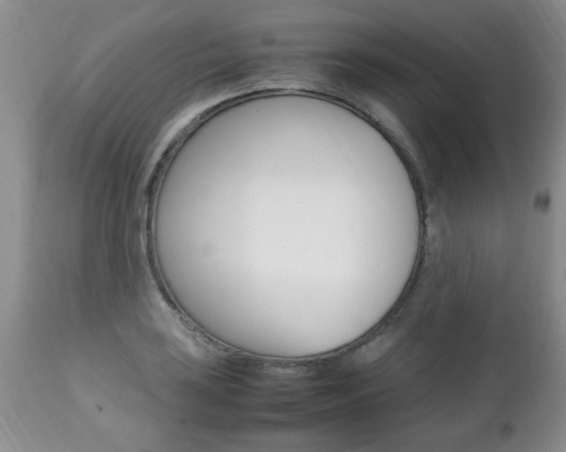 X0000112791035200908210933