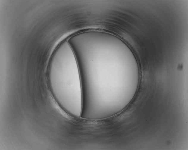 X0000112791037200908210933
