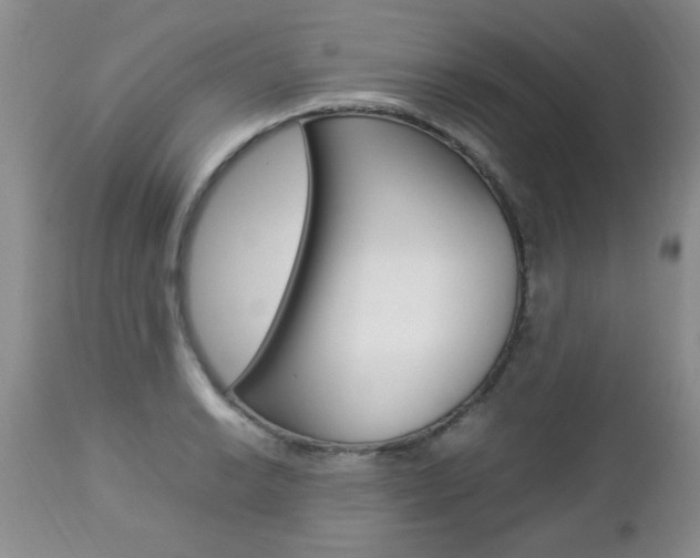 X0000112791038200908210933