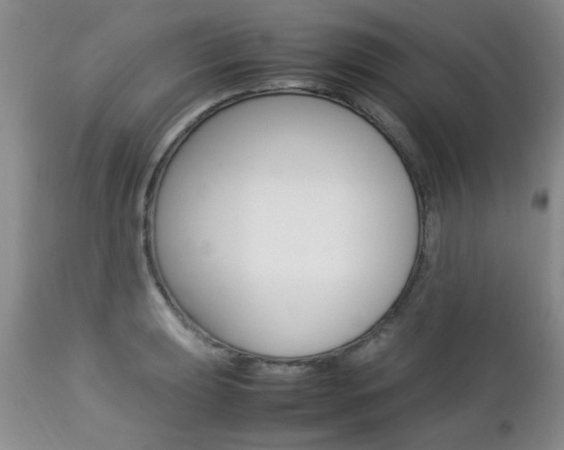 X0000112791039200908210933