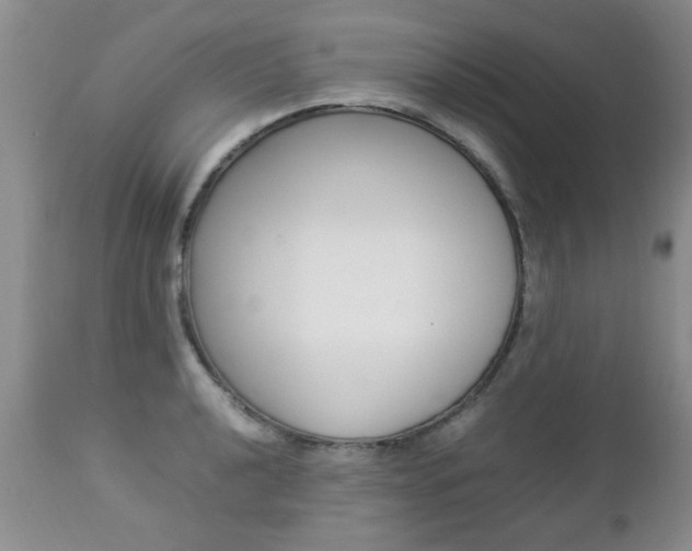 X0000112791040200908210933