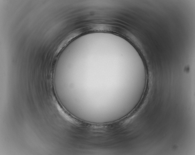 X0000112791041200908210933