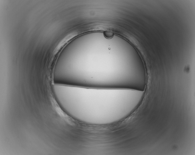 X0000112791042200908210933