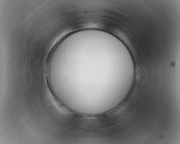 X0000112791043200908210933