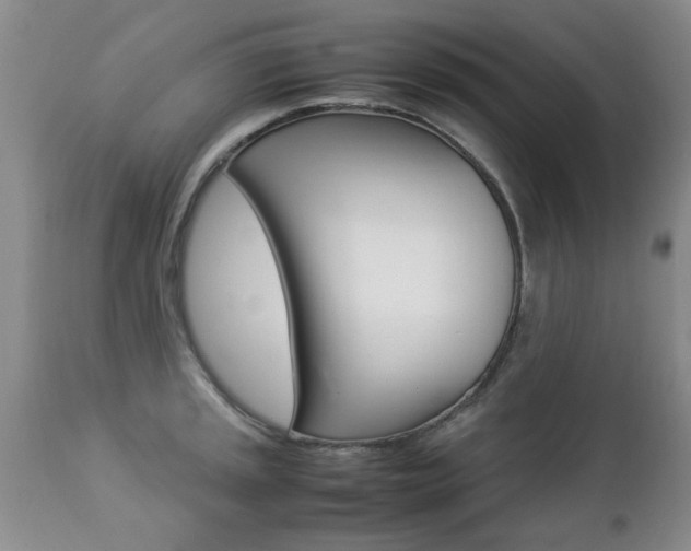 X0000112791045200908210933