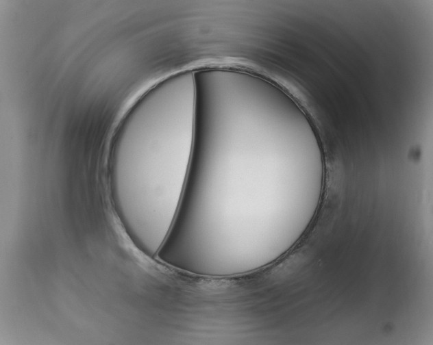 X0000112791046200908210933