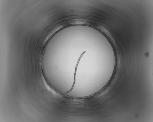 X0000112791049200908210933