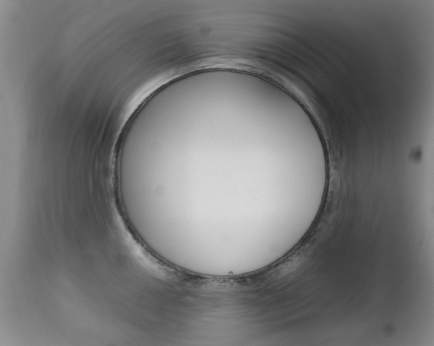 X0000112791050200908210933