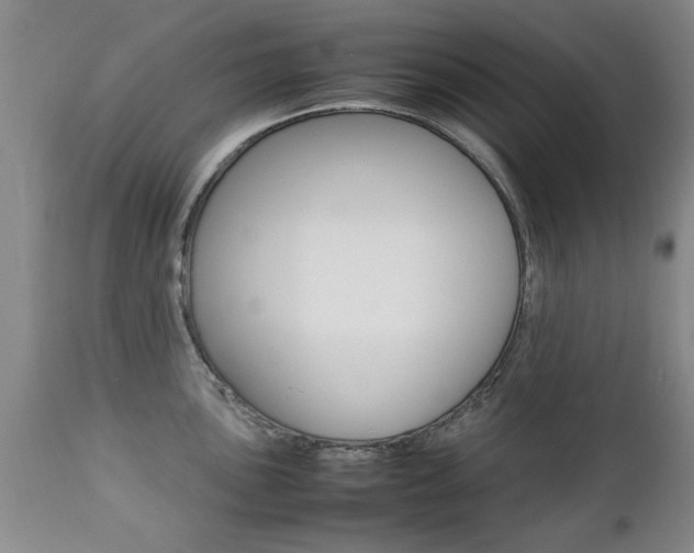 X0000112791051200908210933