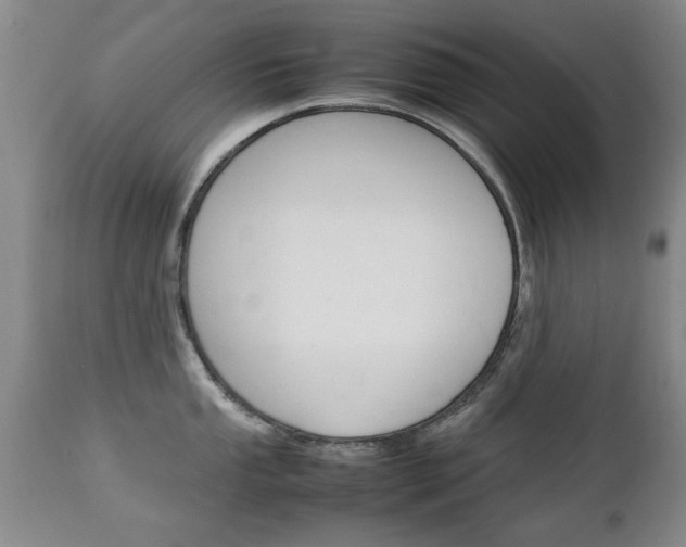 X0000112791053200908210933