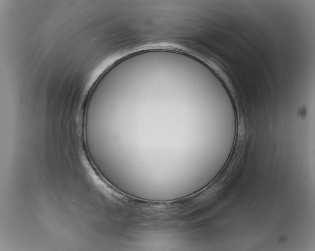 X0000112791054200908210934