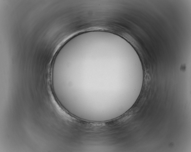 X0000112791055200908210934