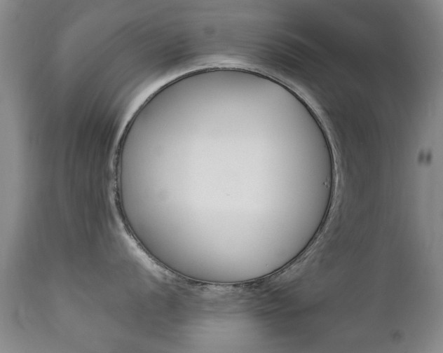 X0000112791056200908210934