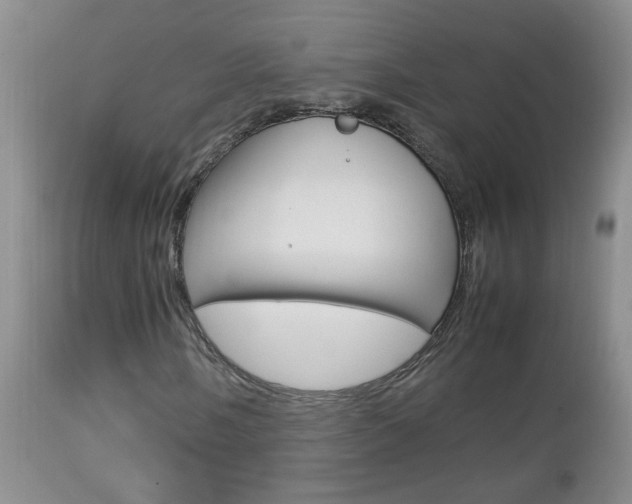 X0000112791058200908210933