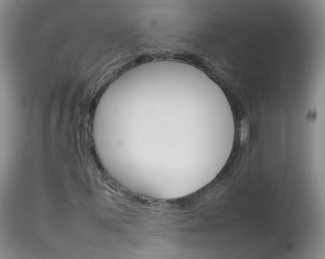 X0000112791059200908210933