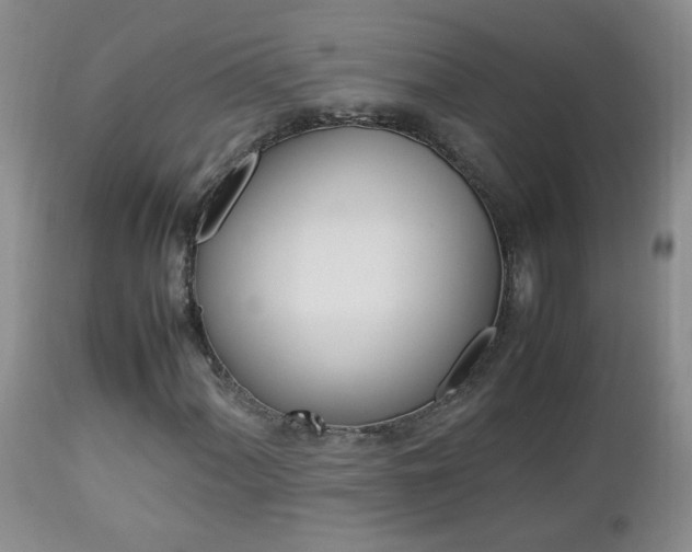X0000112791060200908210933