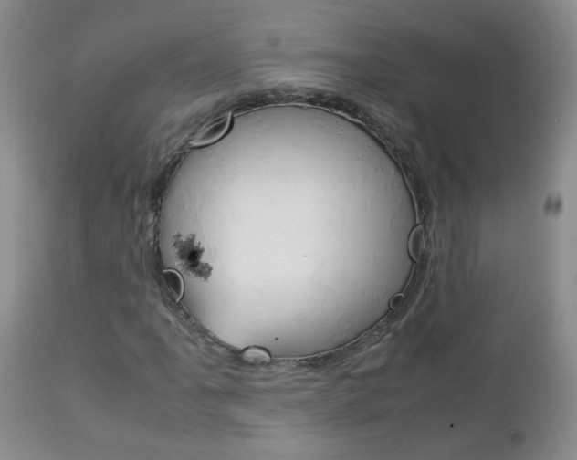 X0000112791061200908210933