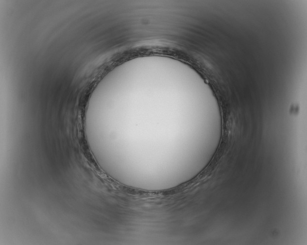 X0000112791062200908210933
