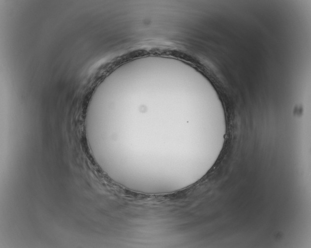 X0000112791063200908210933