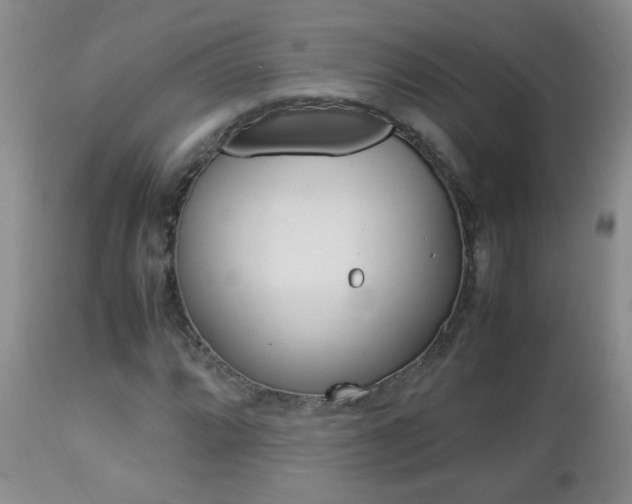 X0000112791064200908210933