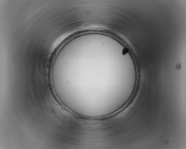 X0000112791066200908210933