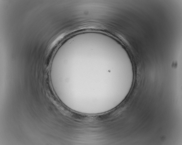 X0000112791067200908210933