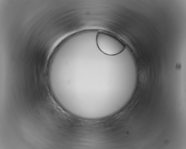 X0000112791068200908210933