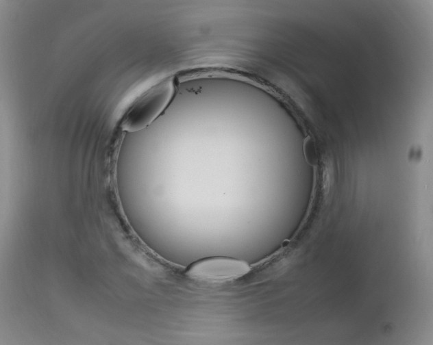 X0000112791069200908210933
