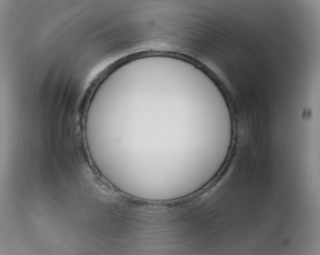 X0000112791070200908210933