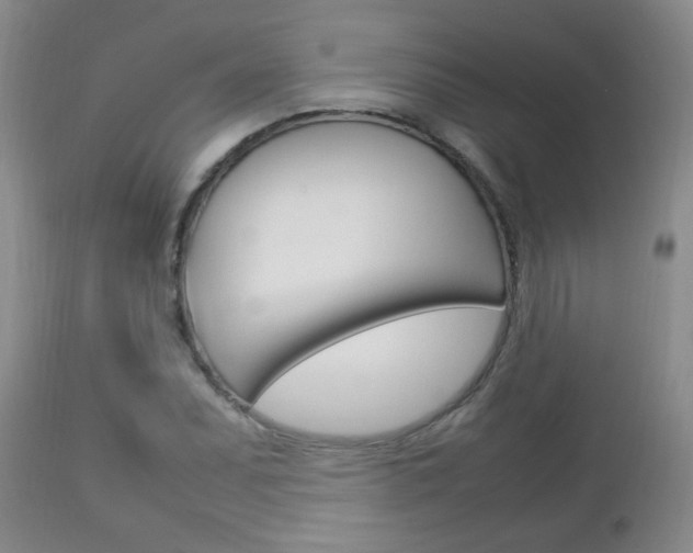 X0000112791071200908210933
