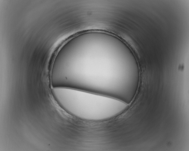X0000112791072200908210933