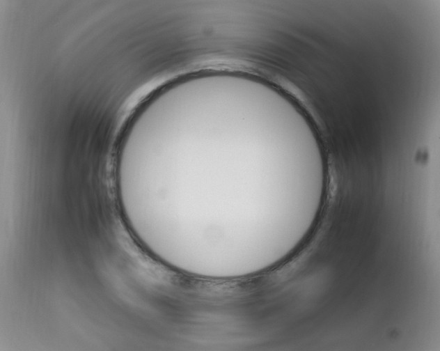 X0000112791074200908210933