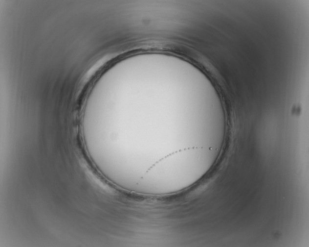 X0000112791075200908210933