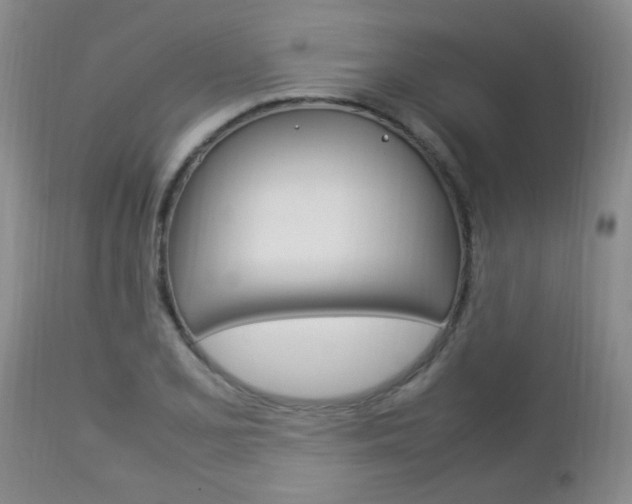 X0000112791077200908210933