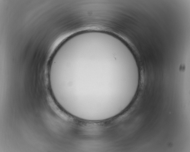 X0000112791078200908210933