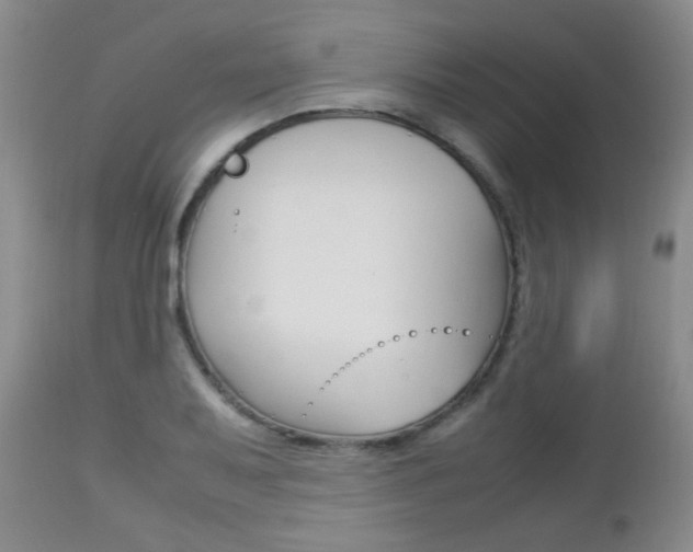 X0000112791079200908210933