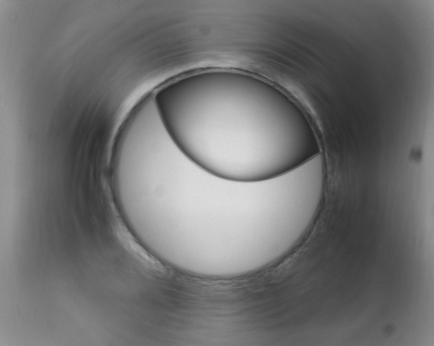 X0000112791080200908210933
