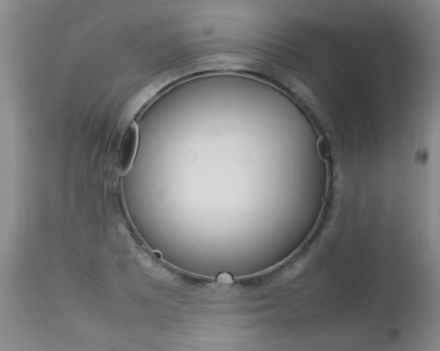 X0000112791081200908210933