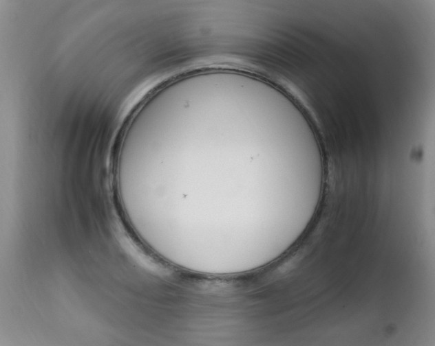 X0000112791082200908210933