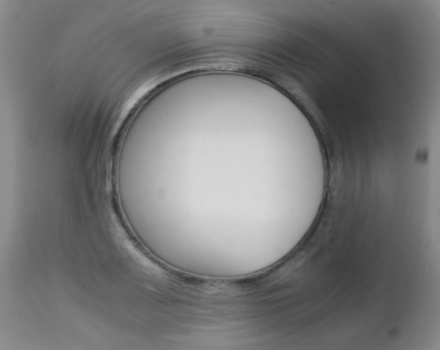 X0000112791083200908210933