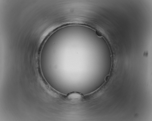 X0000112791085200908210932