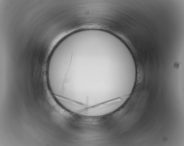 X0000112791086200908210932